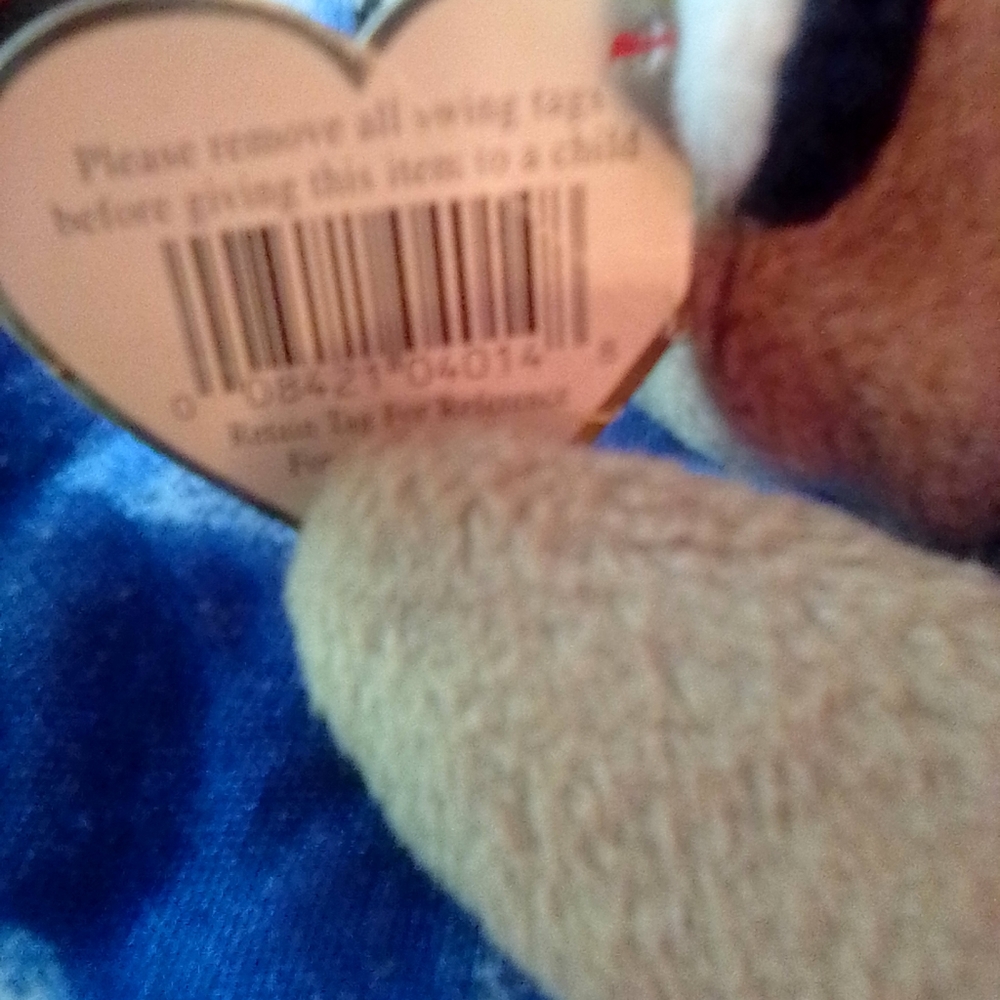 Ty beanie Ringo Raccoon 1996' PVC ERRORS - Picture 6 of 13